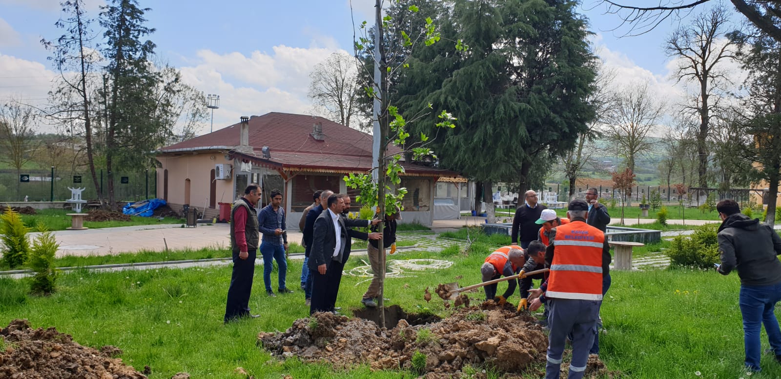 KAVAK, YEŞİL ATAĞA GEÇTİ